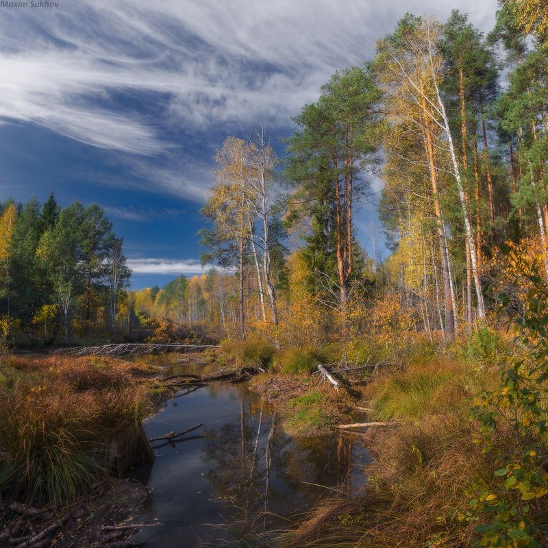 Осень, река, сосны, березы, листья, облака, пруд, Краски осеннего дняphoto preview