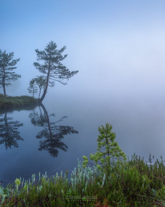 ... когда нет проблем с горизонтом ...photo preview