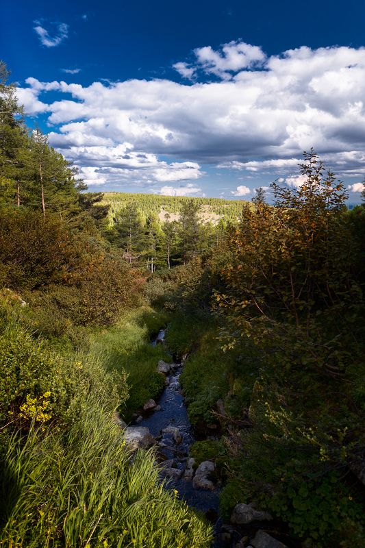 Ручей, Лес Горы photo preview