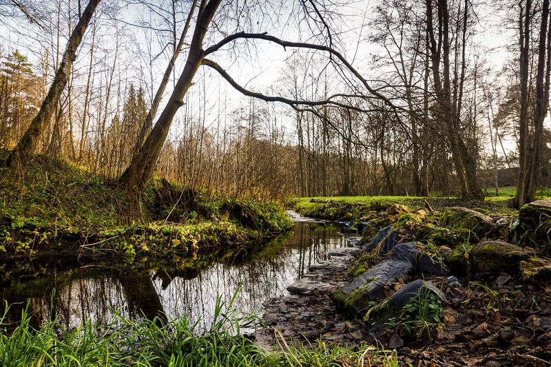 Талеж,пейзаж Уже осеньphoto preview
