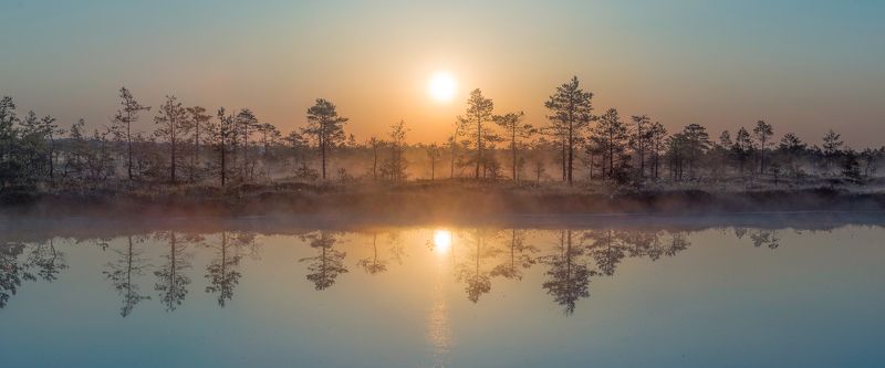 #estonia, #estoniabogs, #nature_of_estonia, #naturephotography, #naturelovers, #sunrise_sunset_photogroup, #sunriseoftheday, #foggymorning, #foggy, #goldenlight, #goldensunrise, #bog, #bogsofestonia, #kõnnusuursoo, #hikingtrails, #goldenhour, #goldengram, ---photo preview