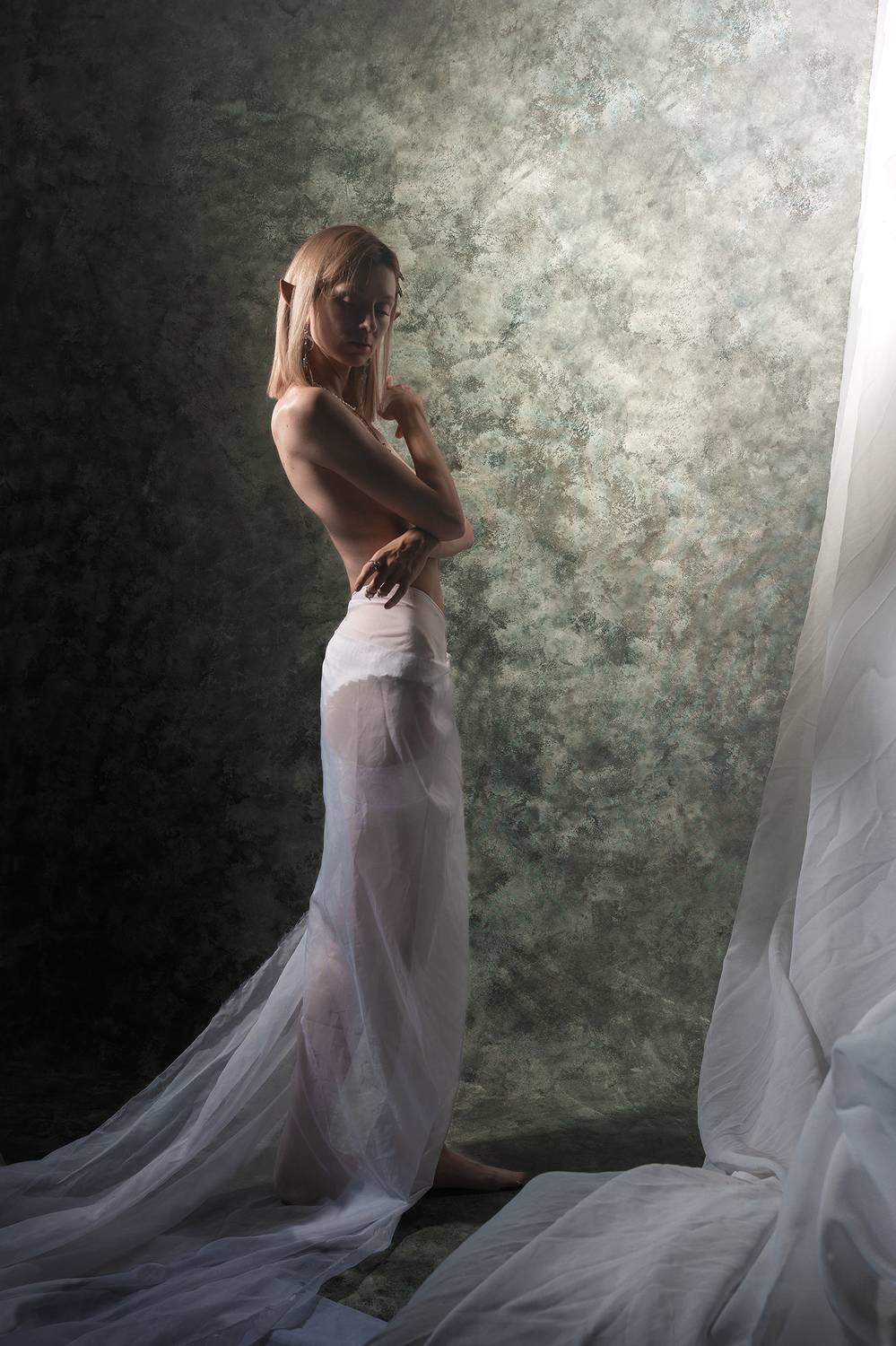 Автор: Городничев Валерий низкий ключ эльф топлес, Городничев Валерий