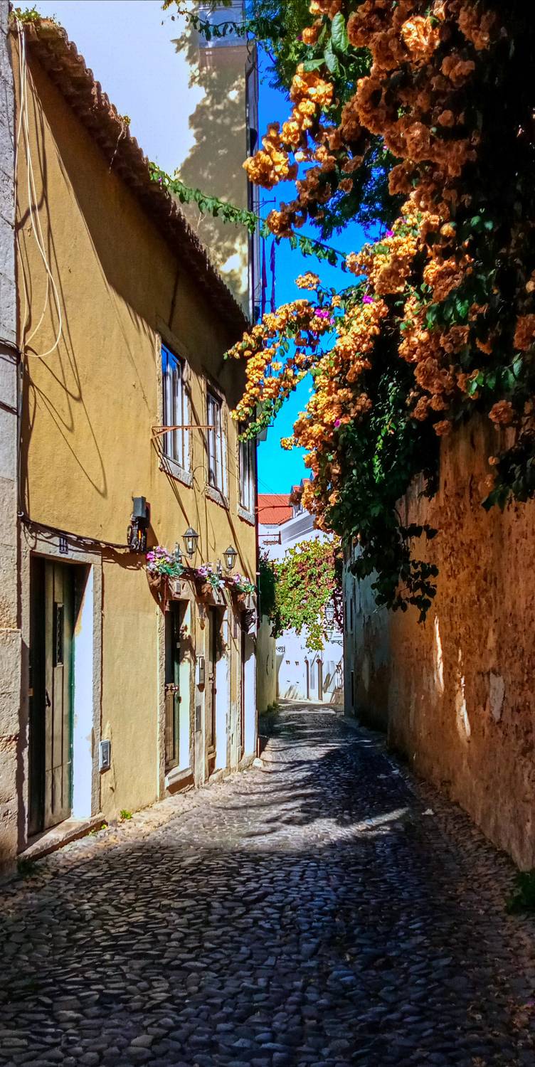 Lisboa. Автор: Machado Carlos City, Street, Machado Carlos