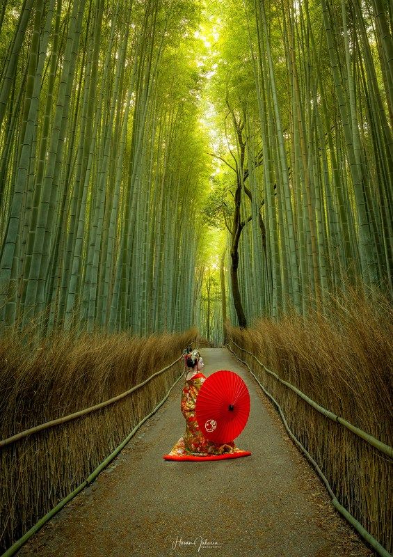 #kyoto #japan #autumn #arashiyama [ Arashiyama Bamboo Forest ]photo preview