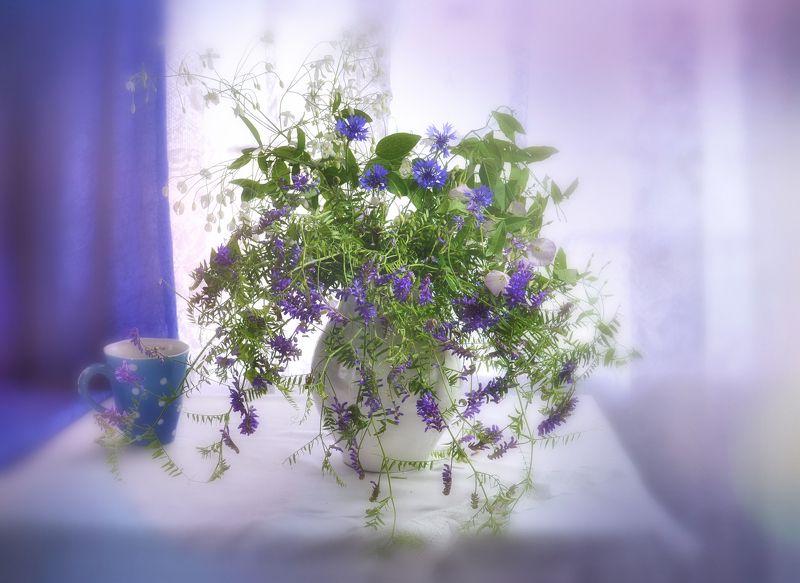 лето васильки, лиана,кружка,синий ***photo preview