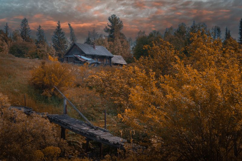 осень природа пейзаж тайга Жилище  Таёжного Отшельникаphoto preview