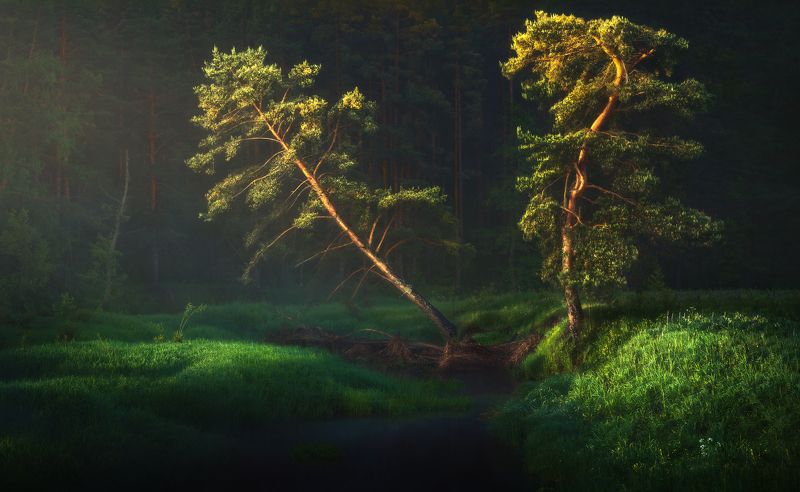 Утроphoto preview