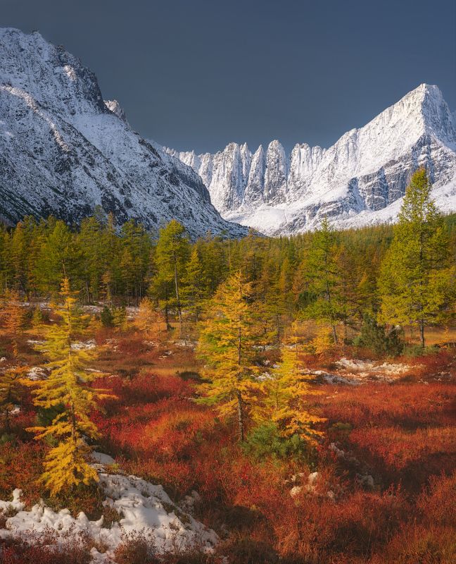 Под белоснежной стеной Пилыphoto preview