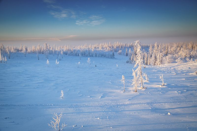 * * * фото превью