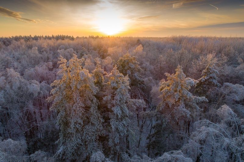 Морозным днёмphoto preview