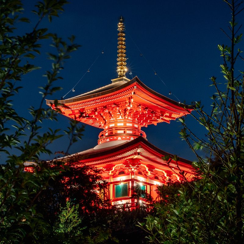японский сад, краснодар, ночная съемка Пагода Тахотоphoto preview