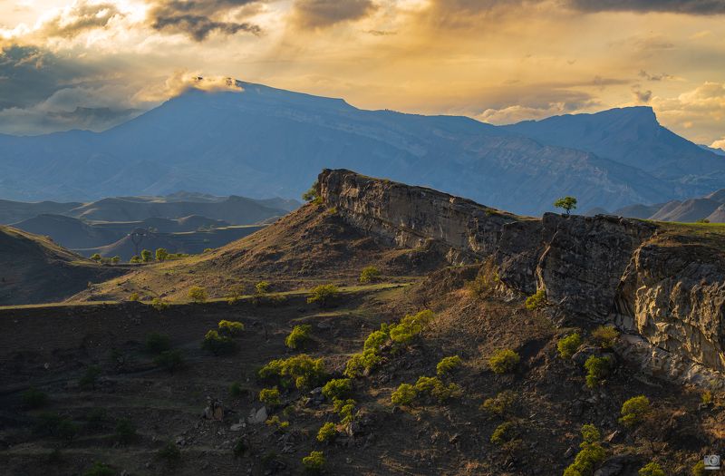 Вечерний свет фото превью