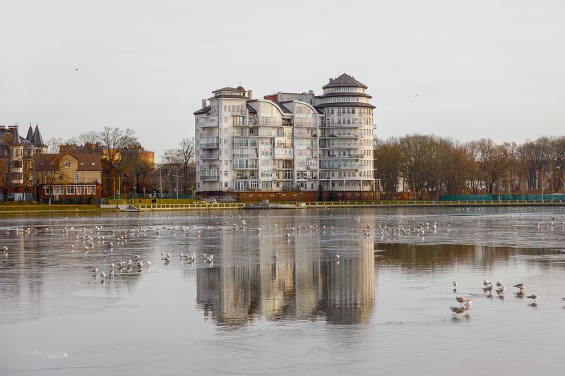 калининград, россия, озеро, фотография, архитектура, пейзаж, город, свирин вадим, вода, весна «Верхнее озеро»photo preview