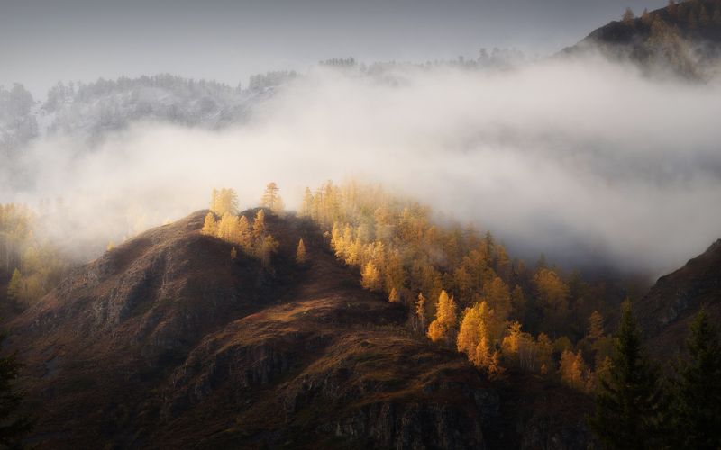 горный алтай, осень в горах, алтай, лиственницы, золотая осень, онгудайский район, горный склон, осенний алтай Осенний прибойphoto preview