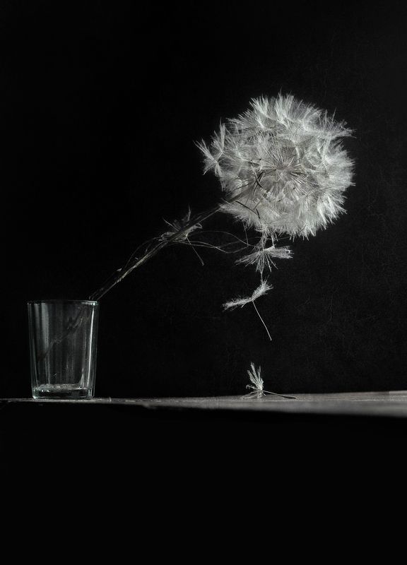 натюрморт, чёрно-белое, настроение Времяphoto preview