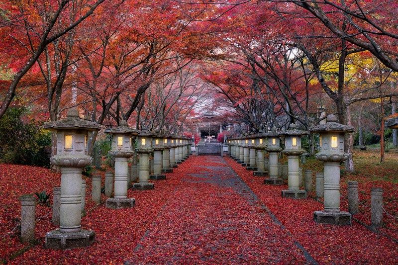 [ Autumn in Morning ]photo preview