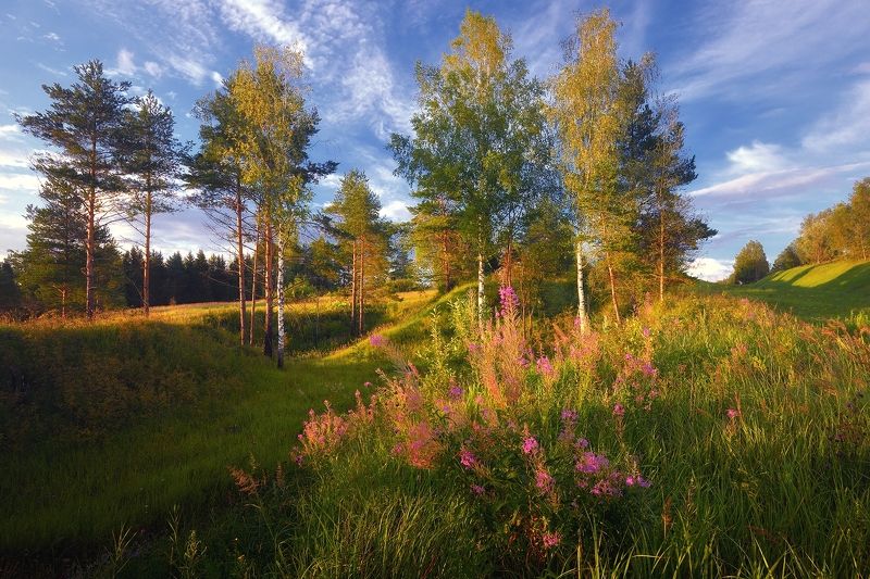 Мысли о летеphoto preview