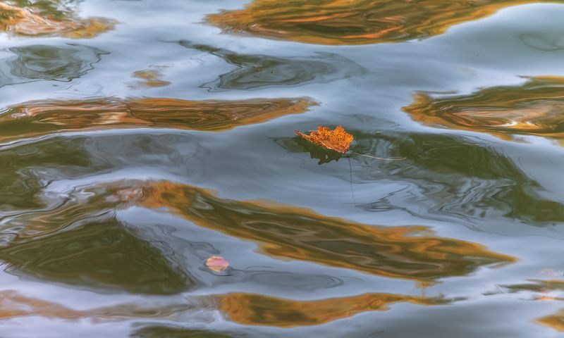 На волне уходящей осениphoto preview