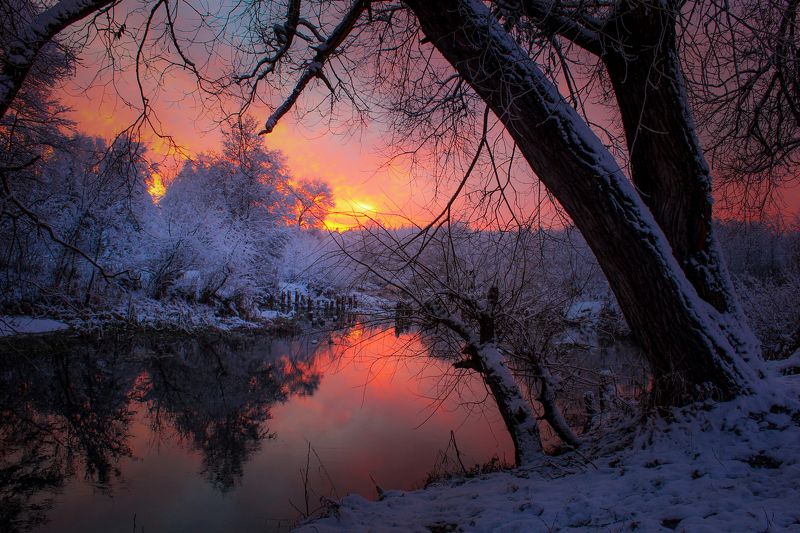 ********photo preview