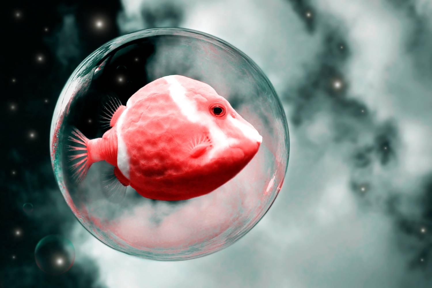 Полёт фантазий.... Автор: Дмитрий Салтыков creative, креатив, манипуляция, концепция, фантазия, полет, цифровое, искусство, digital, art, fly, flight, fantasy, Дмитрий Салтыков