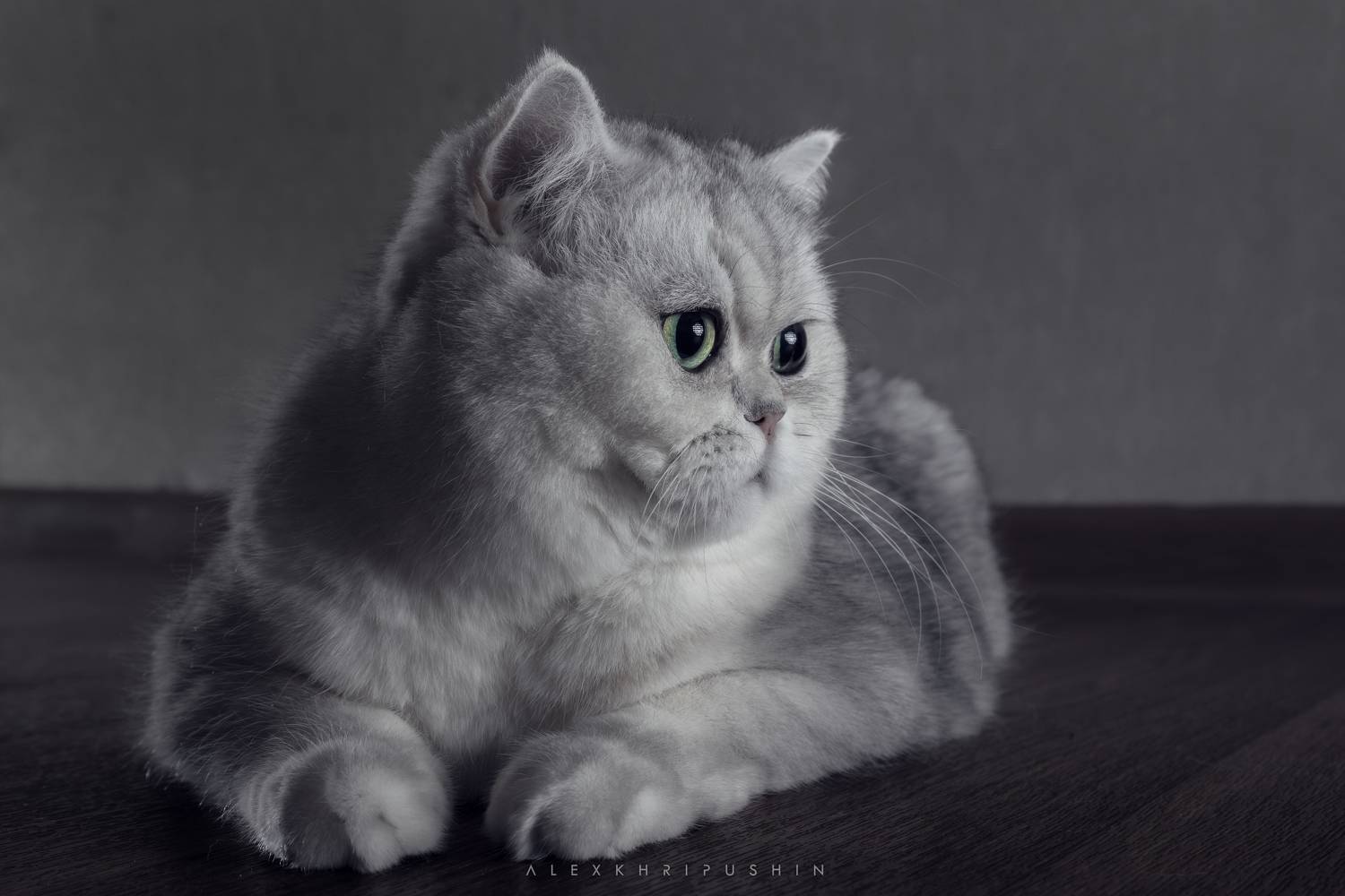 Автор: Хрипушин Александр , Хрипушин Александр