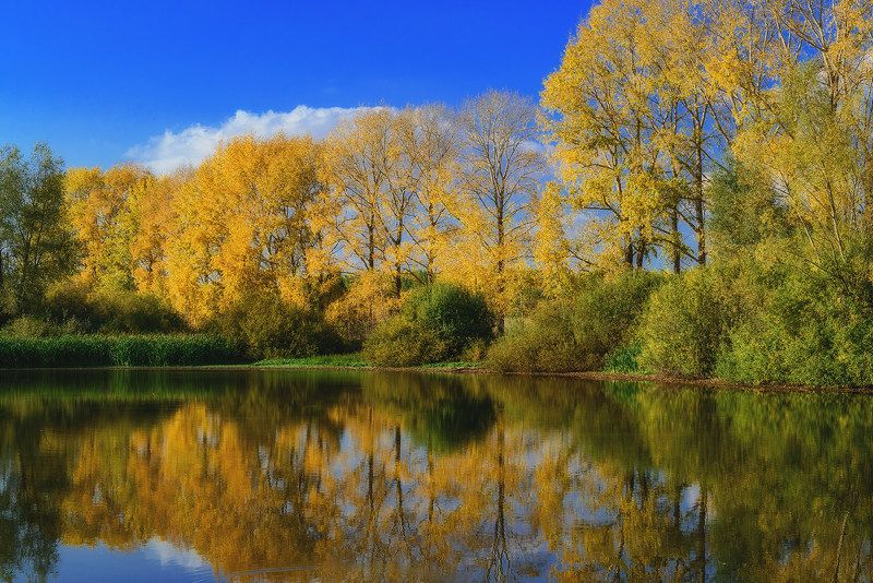 осень провинция озеро Про осень... фото превью