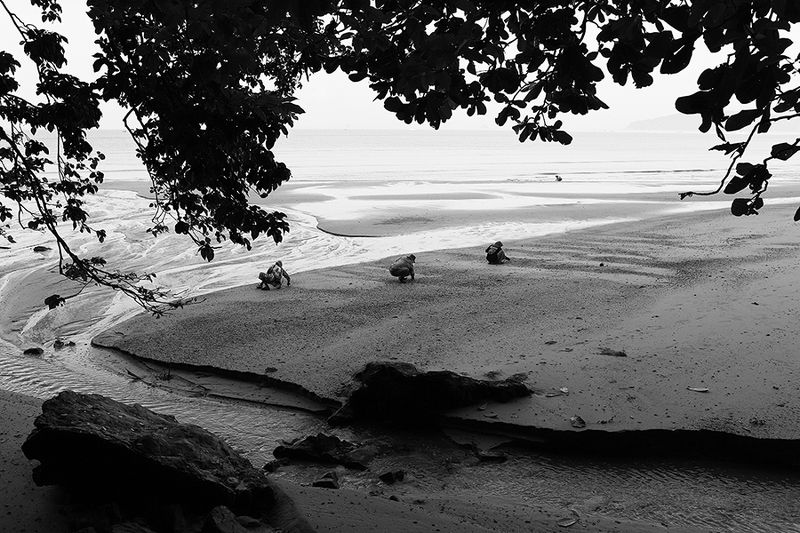 жанр, стрит, тай, street photo, travel photo, bw street photo, tailand, репортаж, fish, рыба, real thai, *photo preview