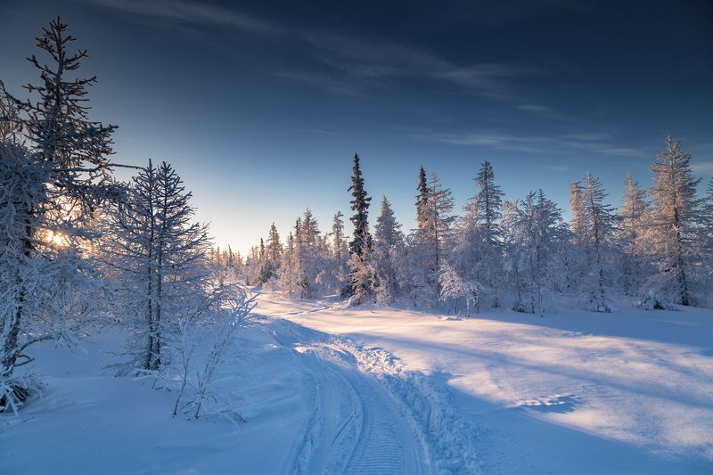 * * * фото превью