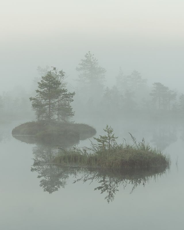 #foggy, #foggymorning, #earlymorning, #morningmotivation, #foggysunrise, #visitestonia, #bogs, #eestirabad, #terviserajad, #ilusadeestipaigad, #beautifuldestinations, #beautifulplaces, #placestogo, #moments, #destinationearth, #reflections, #reflection_sh ---photo preview