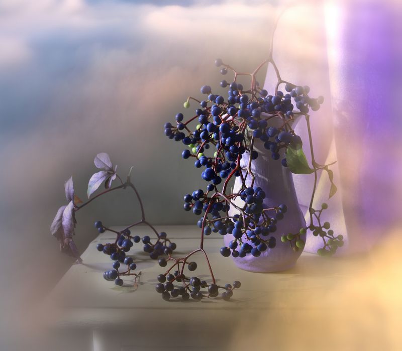 лиана,свет,ягода,осень ***photo preview