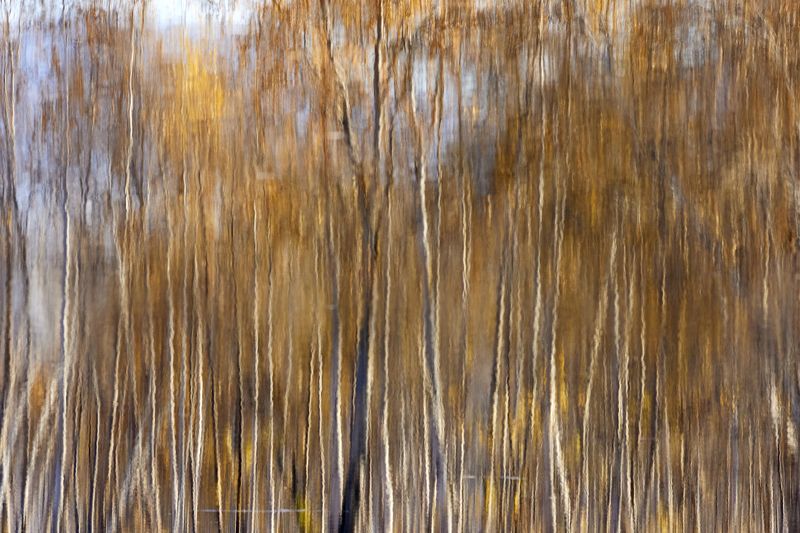 Отражениеphoto preview