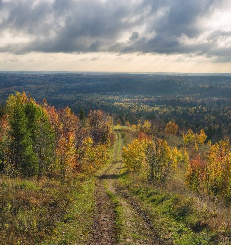 Дорога в осеннюю тайгуphoto preview
