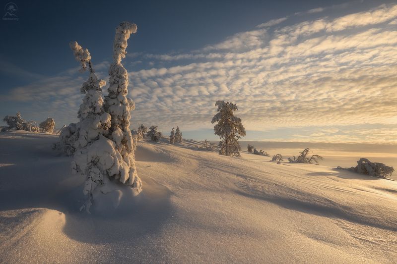 кольский, зима, фототур на кольский, мурманская область, волосяная, зимний кольский, кандалакша ВЕЧЕР НА СОПКЕ фото превью