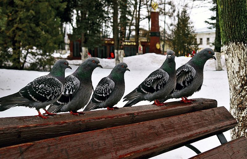 Посидим.photo preview