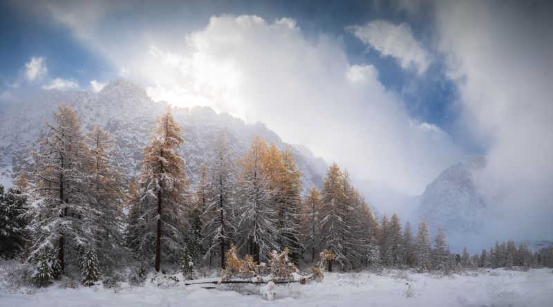 алтай, горный алтай, пейзажи алтая, кош-агачский район, актру, золотая осень, горы, осенний алтай, горная тайга, первый снег, ак-туру Солнце над Куполомphoto preview