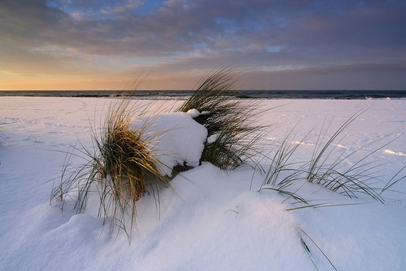 Winter coast of the Baltic Seaphoto preview