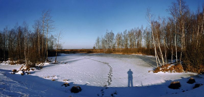предзимье.утро.низкий свет. photo preview