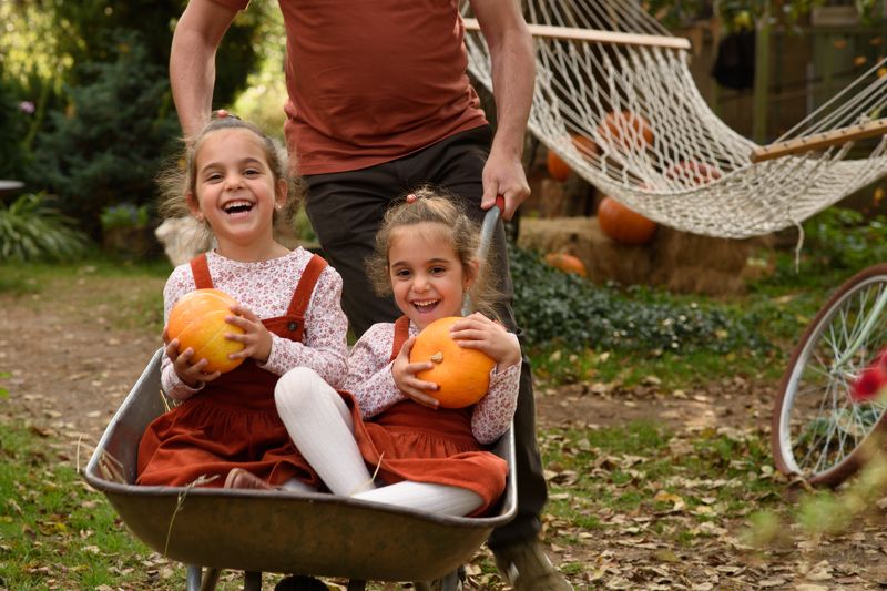 Собираем урожайphoto preview