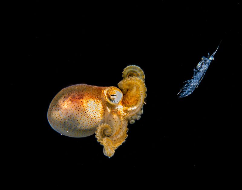 @mluwphotography Dinner timephoto preview