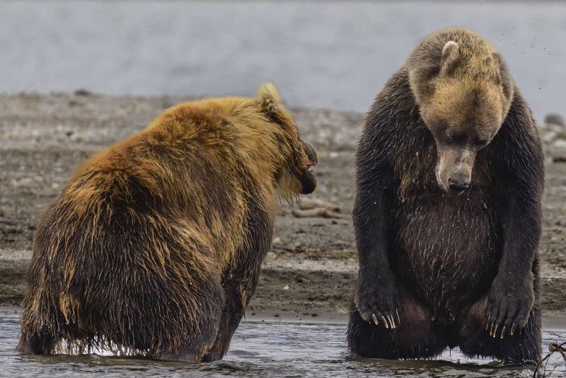 Простите, я больше не буду!photo preview