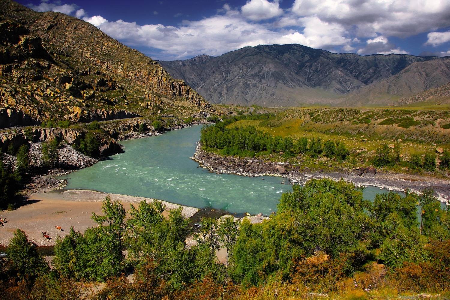 Яломанский плес. Автор: Каверин Владимир , Каверин Владимир