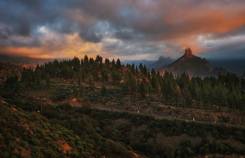 landscapephoto preview