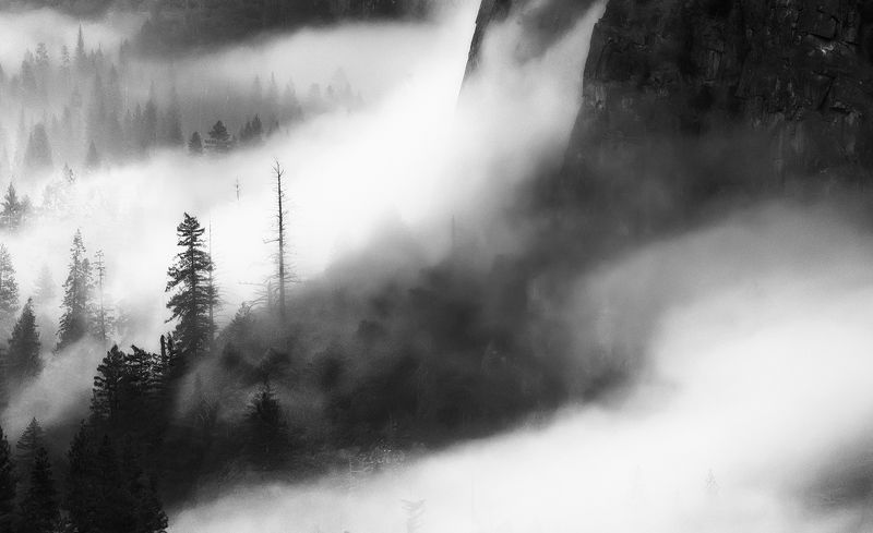 fall in fogphoto preview