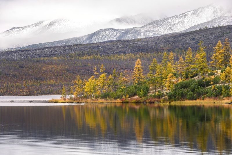 колыма, озеро джека лондона, золотая осень, магаданская область \