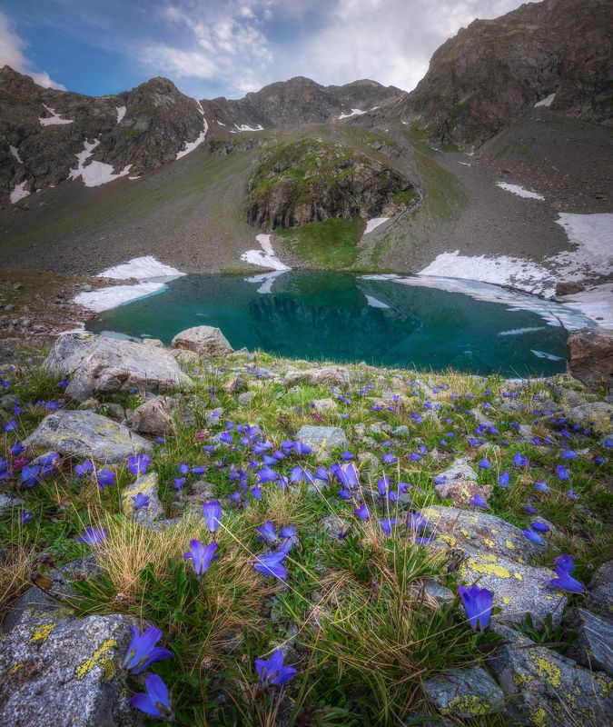 озеро Лазурное в лазурных колокольчикахphoto preview