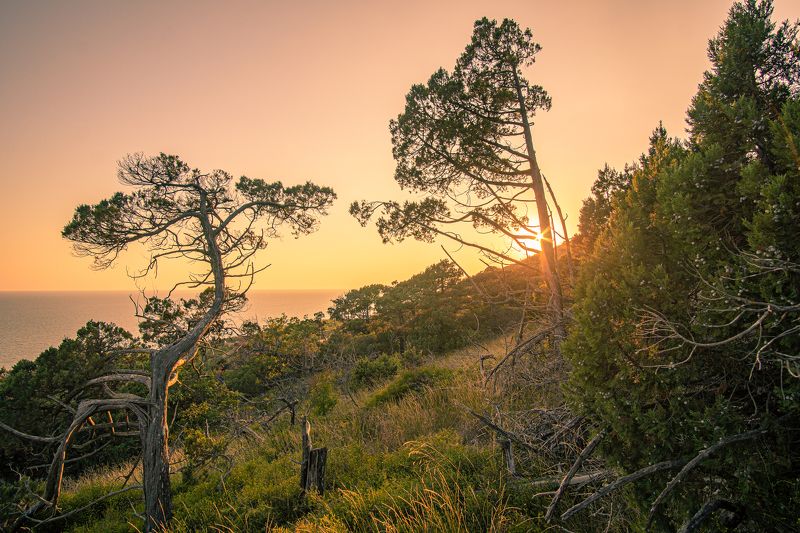 Метаморфозы вечернего светаphoto preview