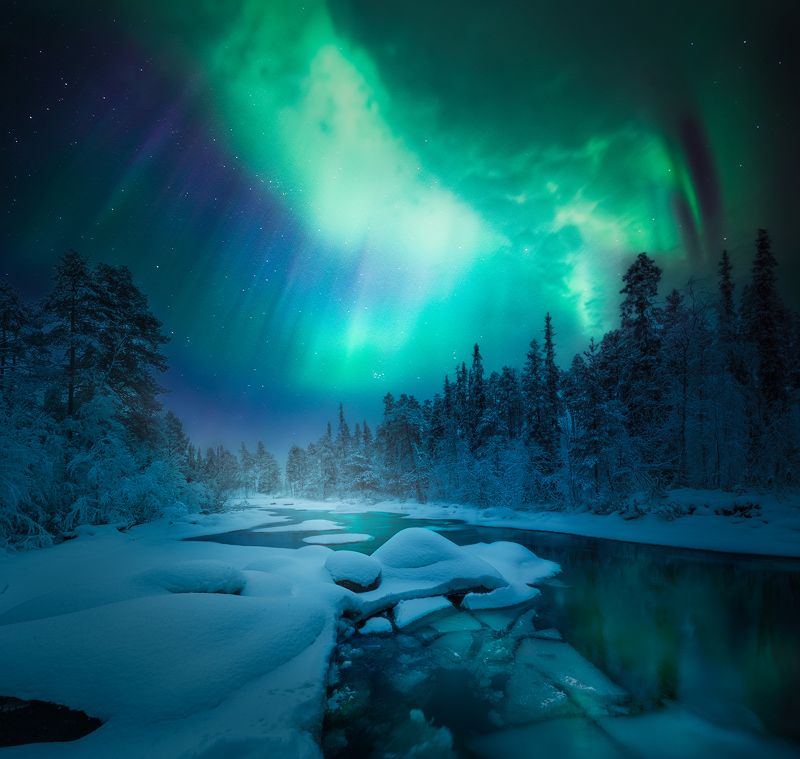 кольский полуостров, кольский, зима, северное сияние, полярное сияние, winter, snow, kola peninsula,  forest, aurora borealis Games of lightphoto preview
