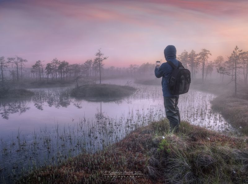 ... утро на болоте ...photo preview