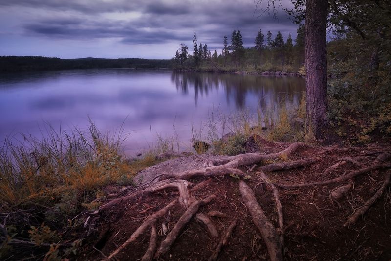 Вечер в фиолетовомphoto preview