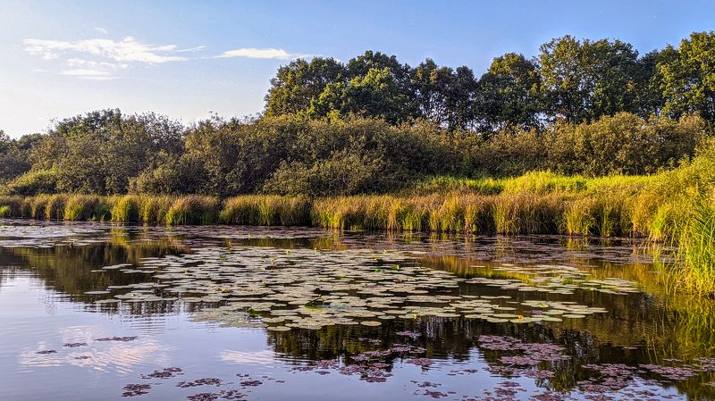 пейзаж, красота, природа Вечер на озере Хутор Борphoto preview